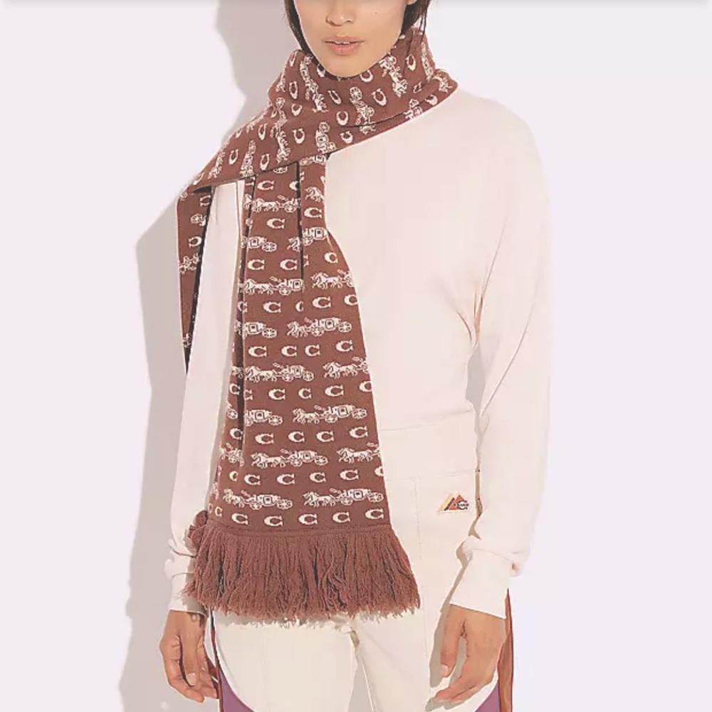 BOLD HORSE AND CARRIAGE PRINT OVERSIZED MUFFLER